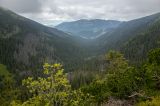 20140603-AJ012252.jpg
